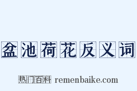 盆池荷花反义词是什么意思的图片